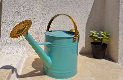 Muzini Villa | Villa 1519/15239 (Istria - Žminj), 25000m from the beach