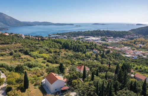 Petraca House | Villa Mambo