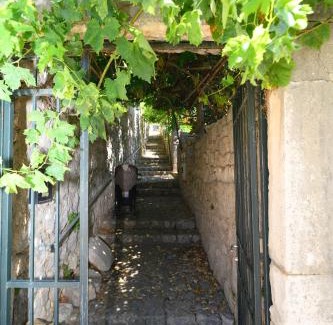 Kolocep Island House | Vintage house Kolocep