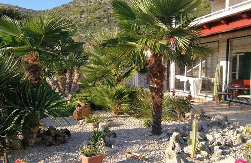 Trsteno Bed & Breakfast | 27 m² Bed and breakfast ∙ 4 guests