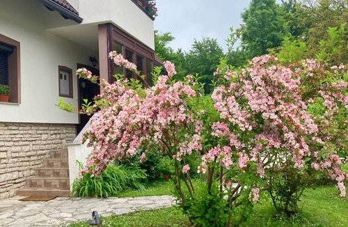 Mukinje Apartment | 28 m² Apartment ∙ 1 bedroom ∙ 4 guests