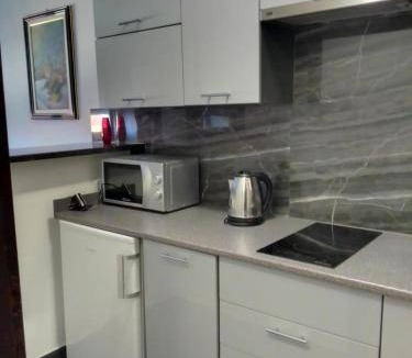 Velika Gorica Apartment | 30 m² Apartment ∙ 1 bedroom ∙ 2 guests