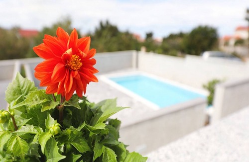 Seline Apartment | 35 m² Apartment ∙ 1 bedroom ∙ 4 guests