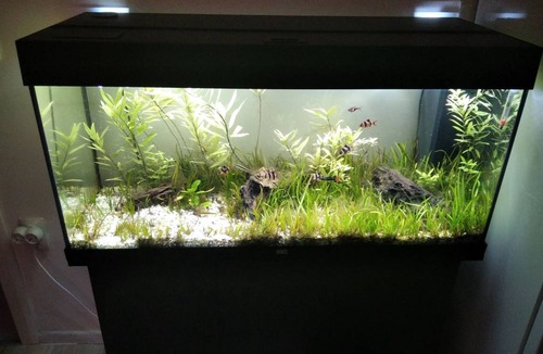 Kastel Stafilic Apartment | 52 m² Apartment ∙ 1 bedroom ∙ 4 guests