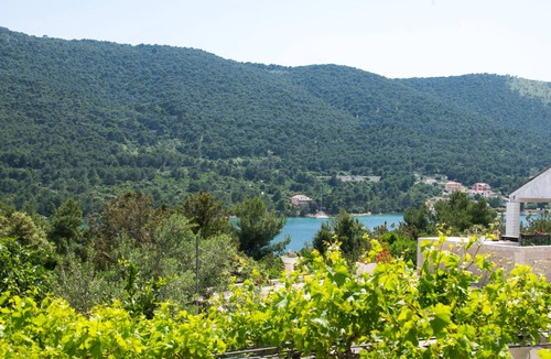 Grebastica Apartment | 68 m² Apartment ∙ 2 bedrooms ∙ 5 guests