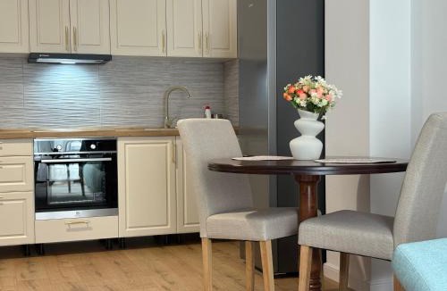 Timisoara Apartment | A&A Appartment 2