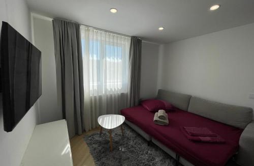 Sangeorz-Bai Apartment | A Studio