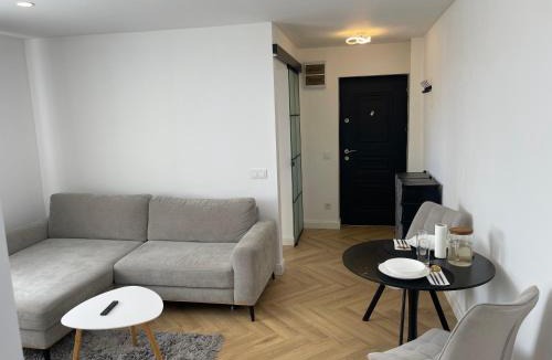 Sangeorz-Bai Apartment | A Studio