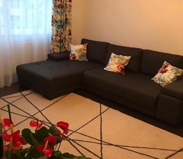 Emanoil Gojdu Apartment | A3M APARTMENT