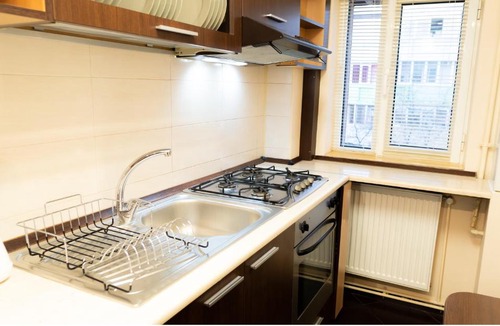 Aviatiei Apartment | AAA Apartment North Bucharest Herastrau Park Aviatiei