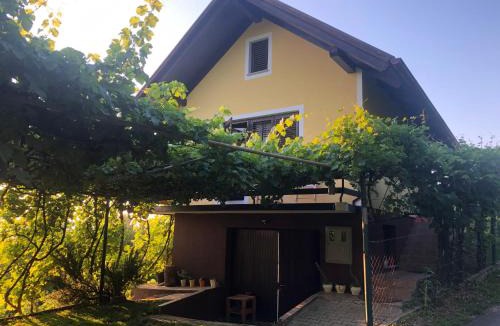 Videm Apartment | Adorable guesthouse in the middle of vineyards