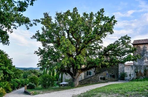Marusici Bed & Breakfast | ADQ Abbraccio della quercia