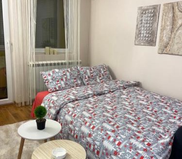 Ledine Apartment | Aero Fly apartment Belgrade