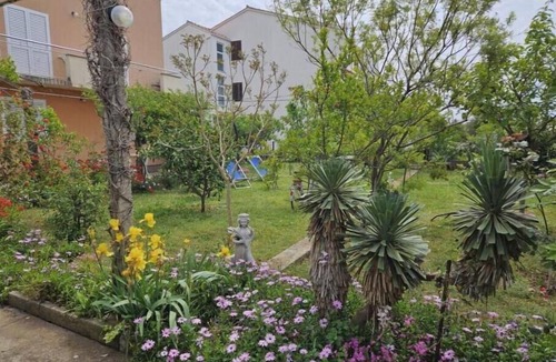 Zadar House | Amalia Apartments in Zadar, 5 minutes from the beach