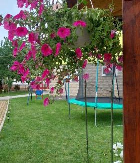 Municipality of Gracac Apartment | Andrić