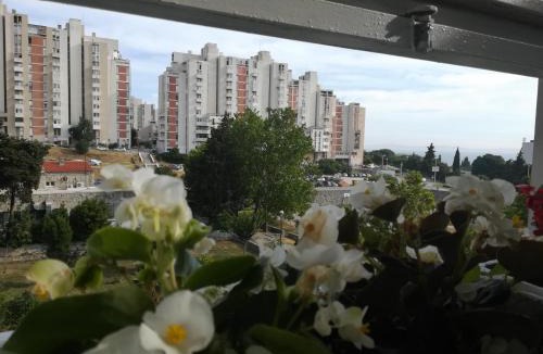 Znjan Apartment | Antonio
