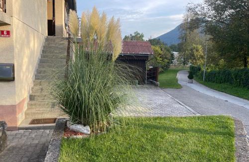 Kocevje Apartment | Apartma Šohen