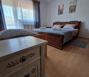 Prem Apartment | Apartma Mihatovi