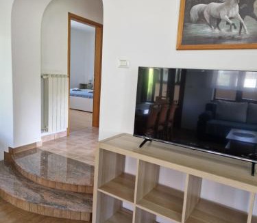 Prem Apartment | Apartma Mihatovi