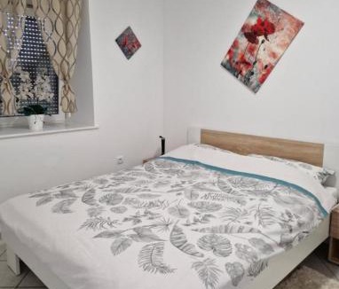 Petrovija Apartment | Apartma Olivin