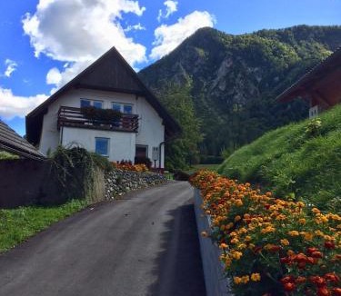Mojstrana Apartment | Apartma Stenar