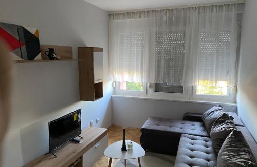 South Backa District Apartment | Apartman Čelarevo centar