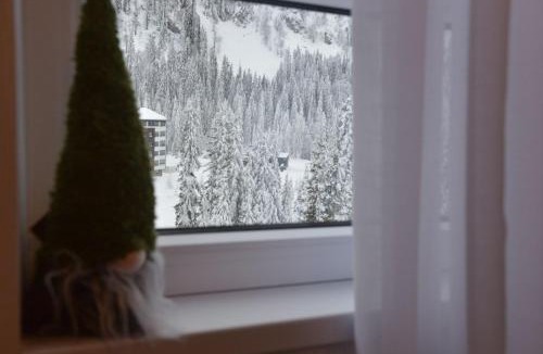 Jahorina Apartment | Apartman Bella Vista Jahorina - pogled na stazu