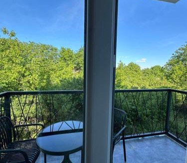Surcin Apartment | Apartman Igor