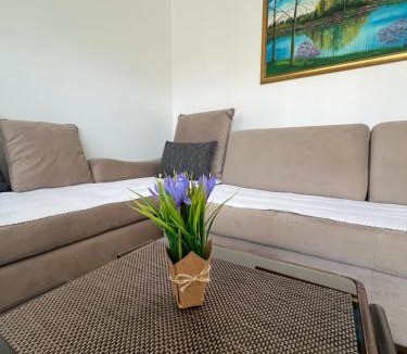 Mali Radic Apartment | Apartman Jan
