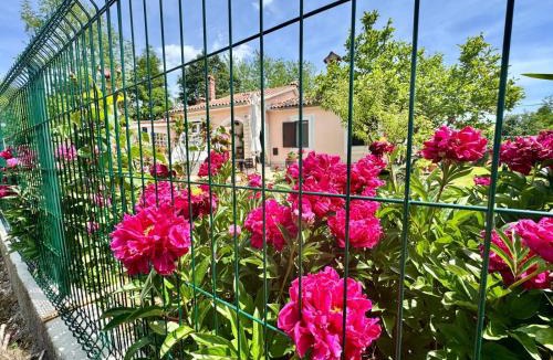 Santalezi Apartment | Apartman Marija