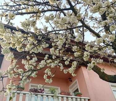 Krapina Apartment | Apartman NADA