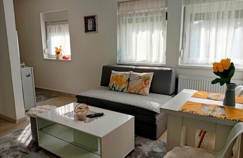 Gradacac Apartment | Apartman Nera