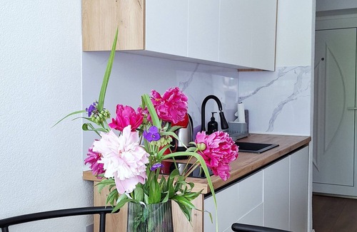 Mali Radic Apartment | Apartman Pino Charming 1-bedroom apartment in Bihać