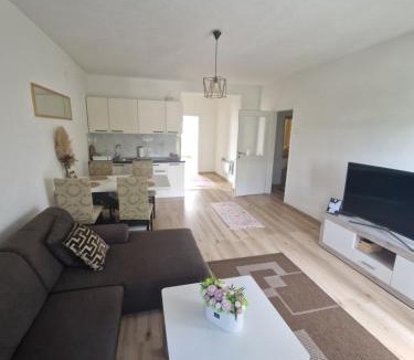 Sanski-Most Apartment | Apartman TESA