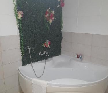 Brcko Apartment | Apartman Tomic