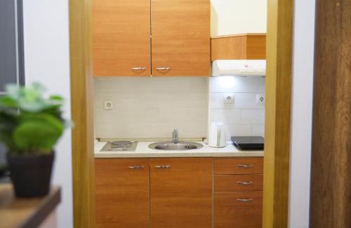 Kopaonik Apartment | Apartman VIK