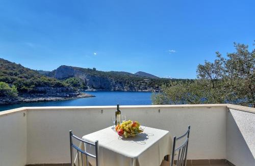 Pokrivenik Apartment | Apartmani Cico
