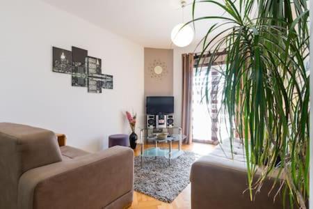 Stanici Apartment | Apartmani Jelena