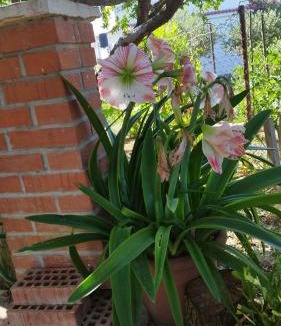 Mundanije House | Apartmani Lucia