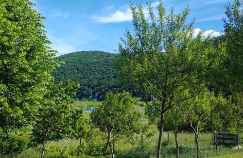 Brlog Apartment | Apartmani Mila