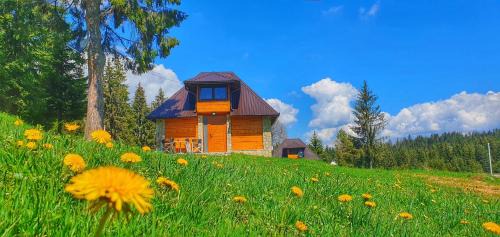 Sokolac Ski Chalet | Apartmani Nišićka Oaza