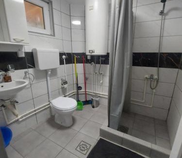 Stara Planina Apartment | Apartmani Vlatkovic 1 Zavojsko jezero
