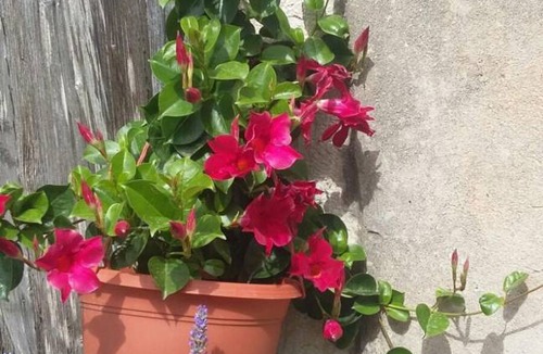 Jakisnica Apartment | Apartment ∙ 1 bedroom ∙ 4 guests