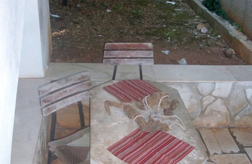 Stomorska Apartment | Apartment Bob - 10m from the sea A1-Lorena 6(5) - Stomorska, Island Solta, Croatia