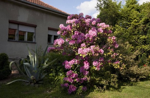Municipality of Krizevci Apartment | Apartment Branka - colorful: R2(1) - Krizevci, Continental Croati, Croatia
