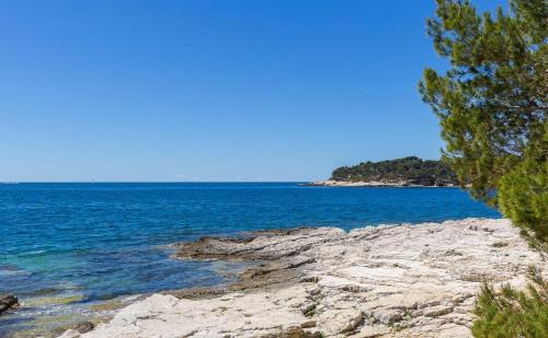 Pula Apartment | Apartment Bursic