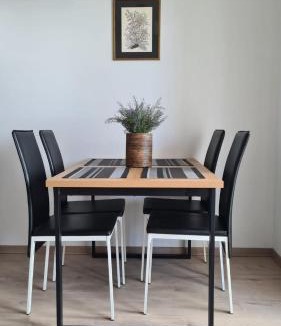 Mejasi Apartment | Apartment By the Mall