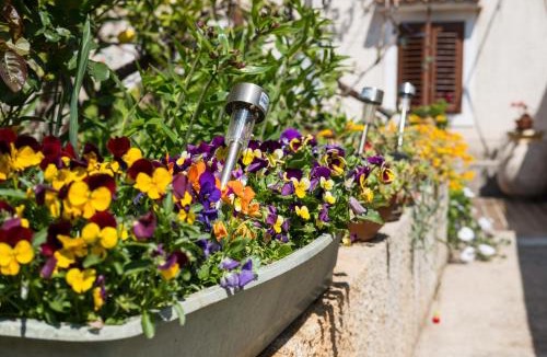 Veli Losinj Apartment | Apartment Carmen