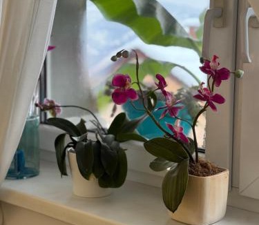 Visoko Apartment | Apartment Donna
