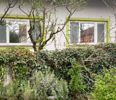 Mala Subotica Apartment | Apartment Hiža 38